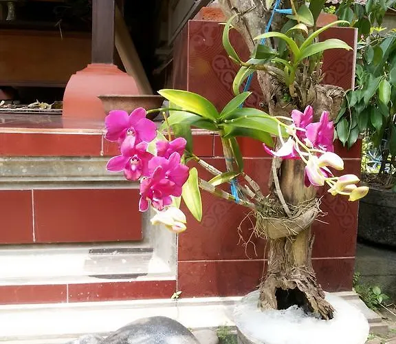 デクワ * ウブド